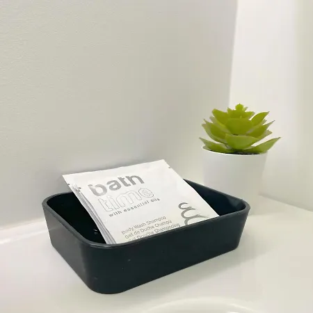 L'alouette - Duplex Confort En Hypercentre * Castres (Tarn)