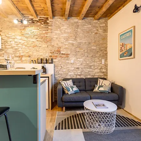 L'Alouette - Duplex Calme, Climatise, Hyper-Centre * Кастр