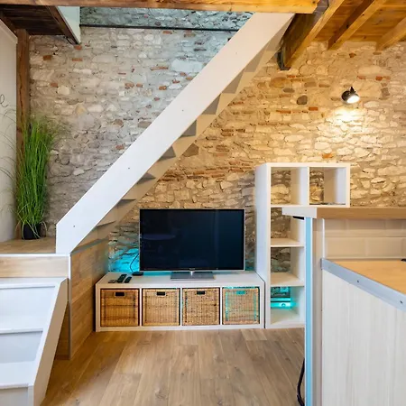 公寓 L'alouette - Duplex Climatise En Hypercentre *