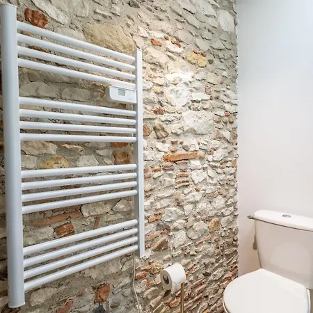 Apartament L'alouette - Duplex Confort En Hypercentre Castres (Tarn)