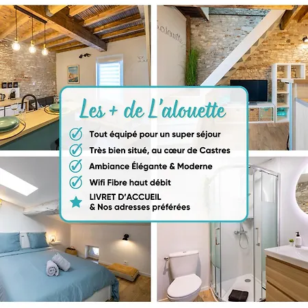 L'alouette - Duplex Climatise En Hypercentre 卡斯特尔