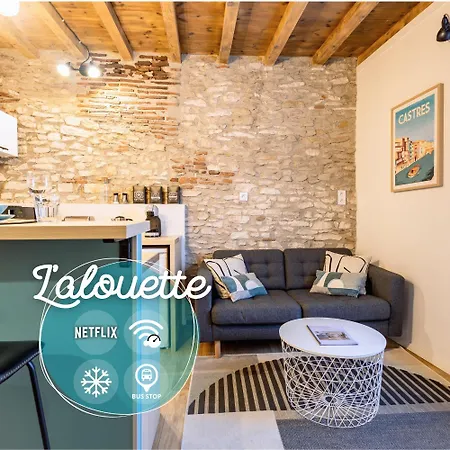 公寓 L'alouette - Duplex Climatise En Hypercentre 卡斯特尔