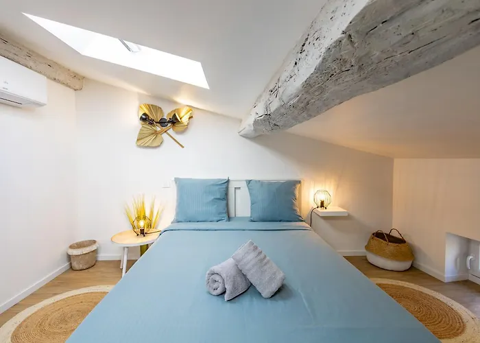 Апартаменты L'alouette - Duplex Confort En Hypercentre Кастр