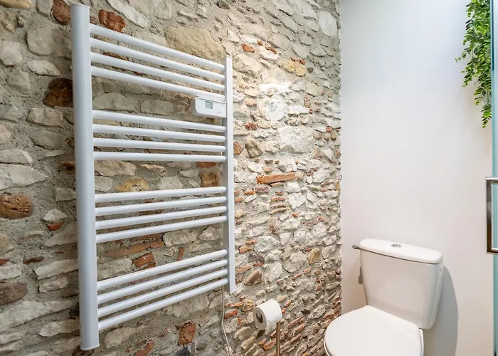 Апартаменты L'alouette - Duplex Confort En Hypercentre Кастр